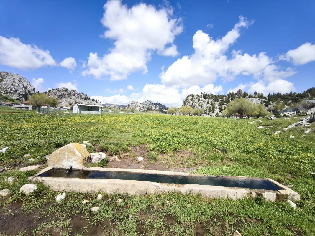 Konya’nın ünlü yaylasında baharın renkli yüzü çıktı 15